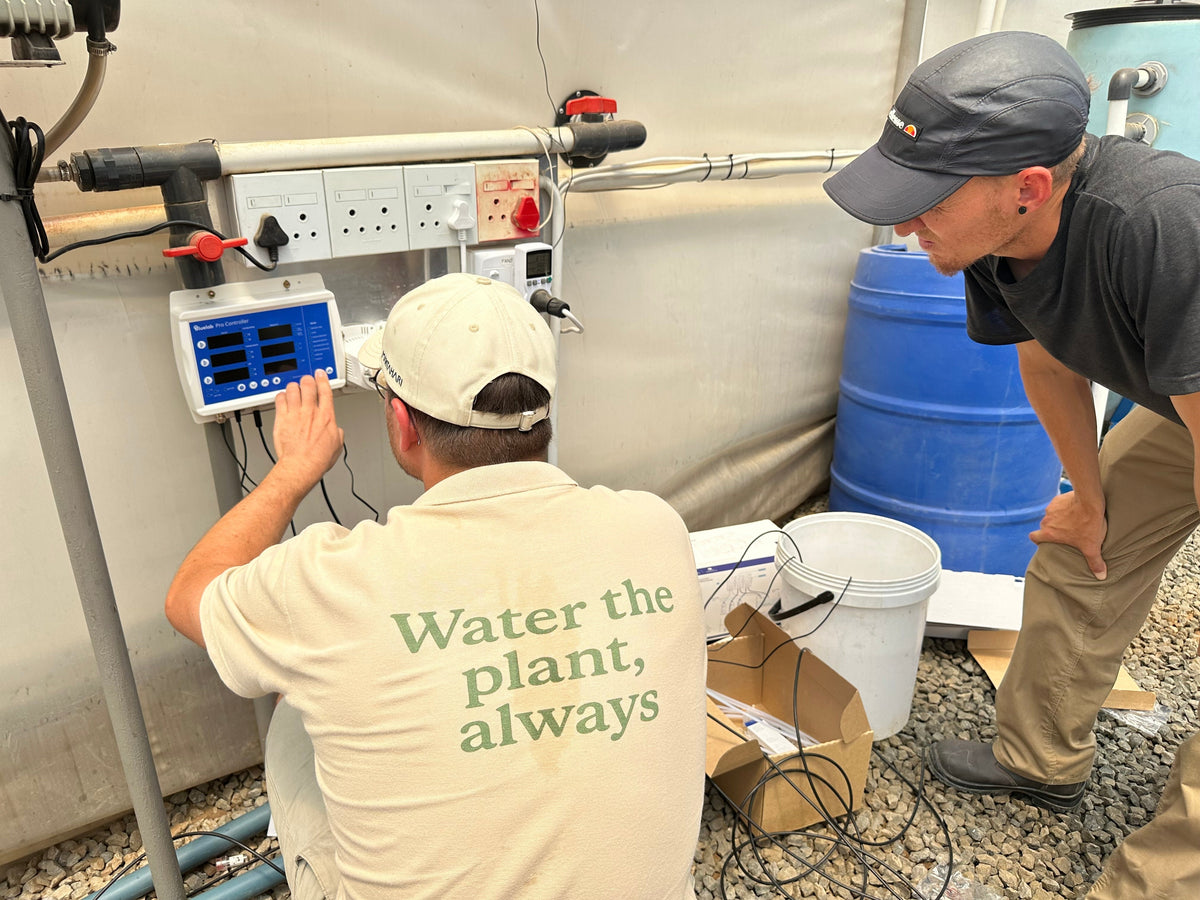 Bluelab Pro Controller and PeriPod M3 installed on a Namibian hydroponics farm