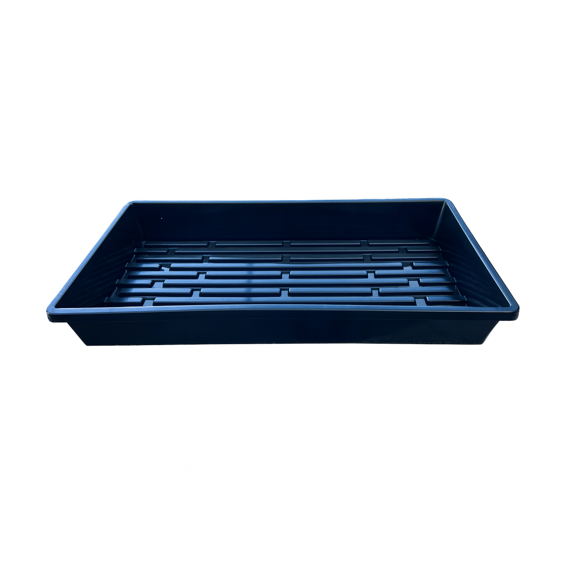 Microgreens Growing Trays: Sizes, Materials & Setup Guide