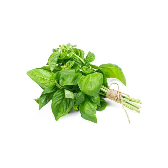 Vertical Farming Solutions
