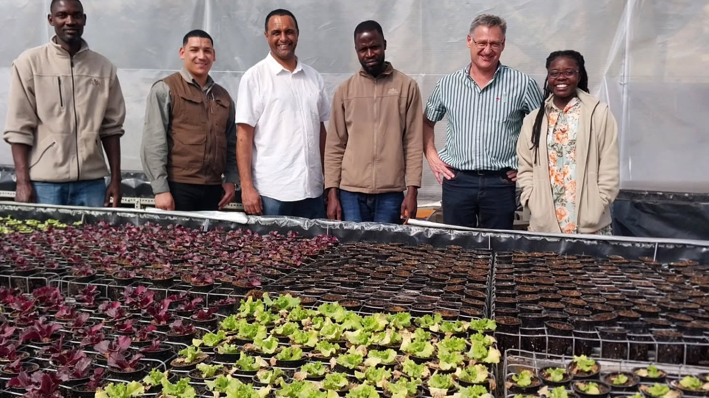 Learn the basics of hydroponic systems, get practical insights, and leave inspired to start growing smarter.