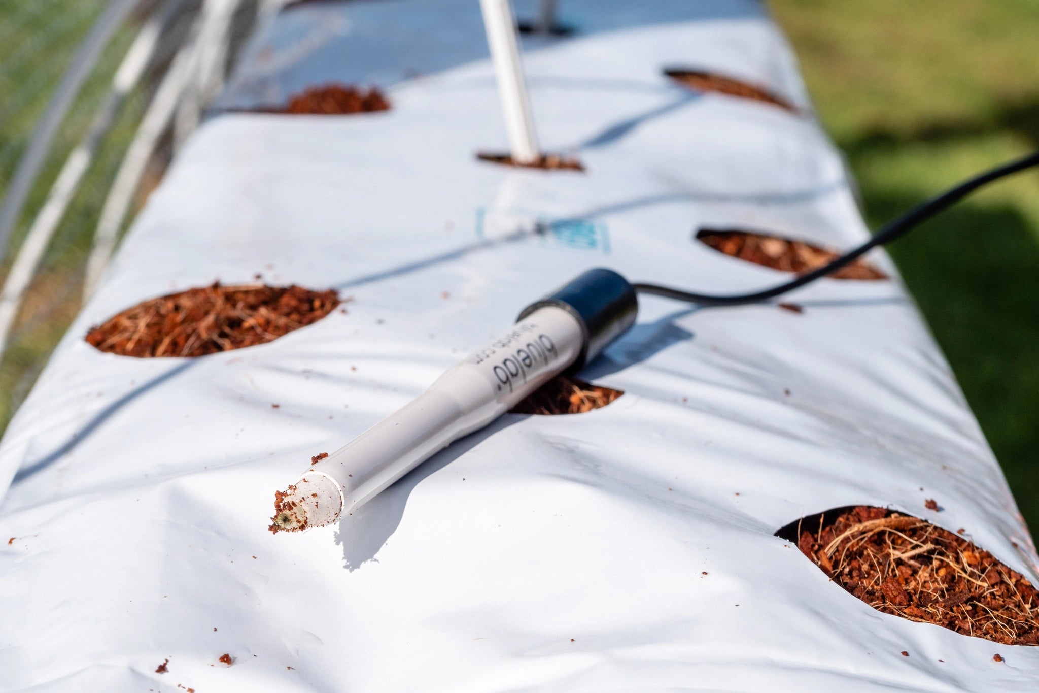 White plastic tube with a Bluelab label on top of a white coco peat slaps with coco peat inside it, outdoors.