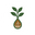 Hydroponics Shop in Namibia logo
