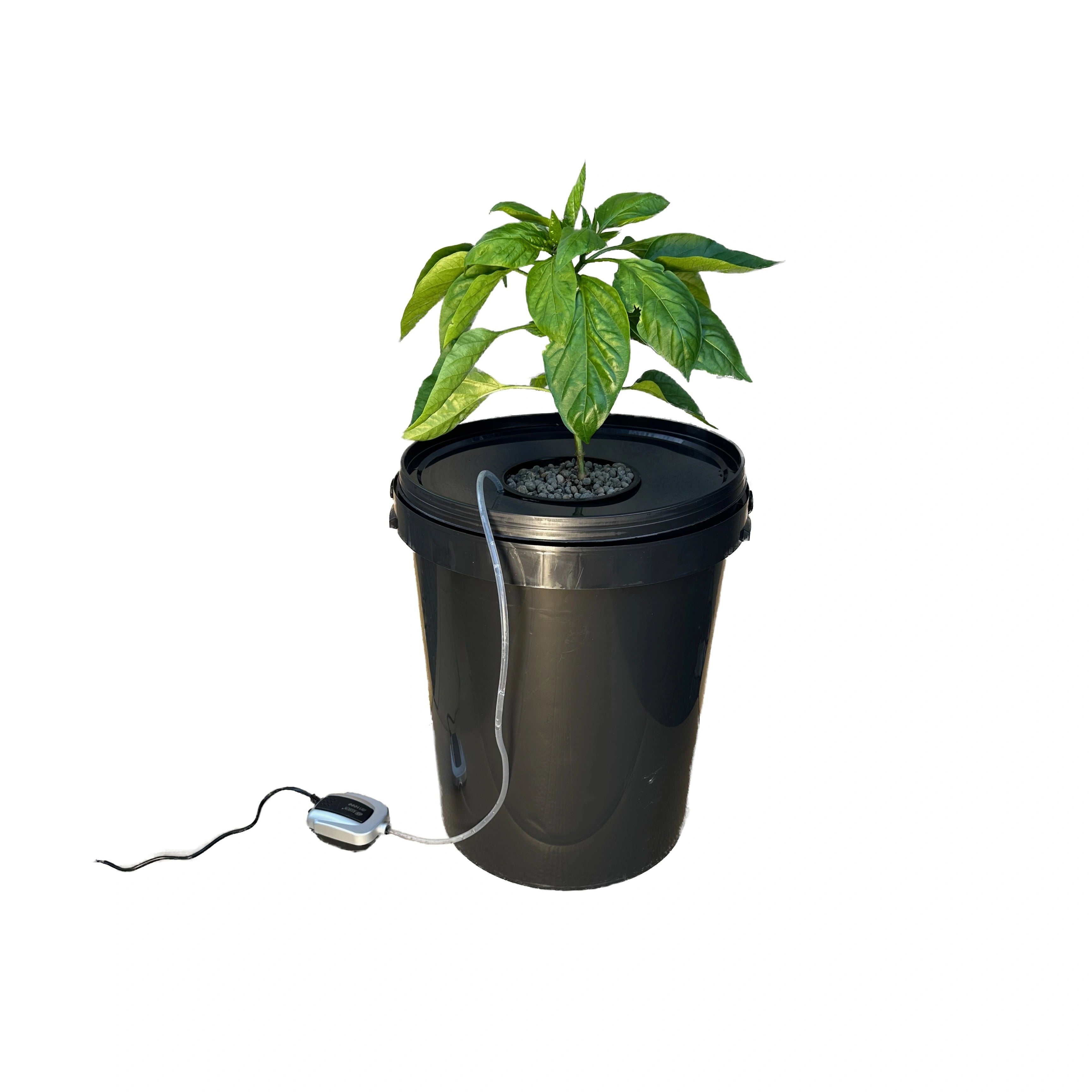Deep Water Bucket