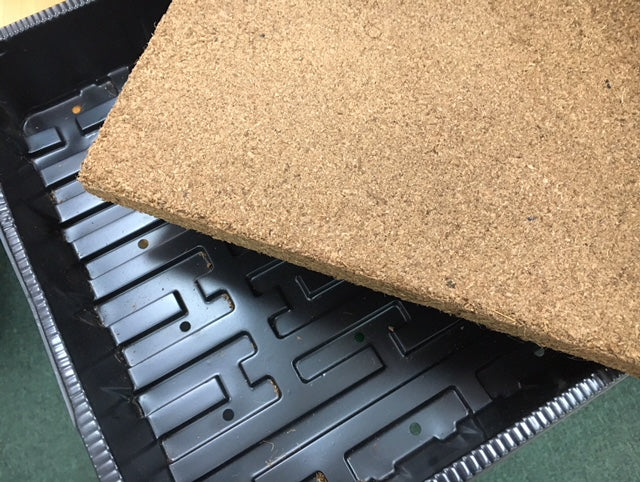 Jiffy Microgreen Grow Plate 30cmx40cmx5cm