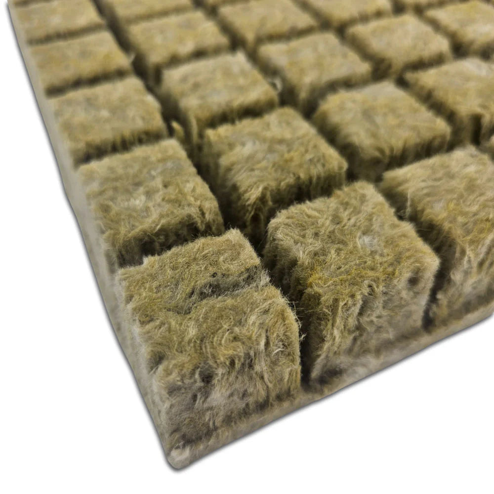 Grodan AO36/40 – 36 mm Rockwool Propagation Plugs