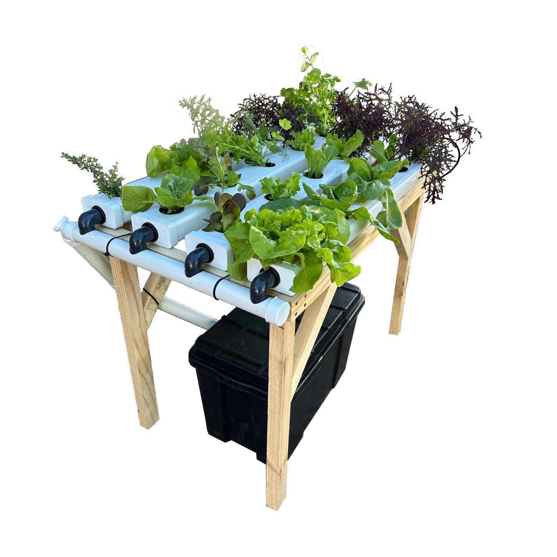 Budget-Friendly NFT Hydroponic Starter Kit – Model: Windhoek 20