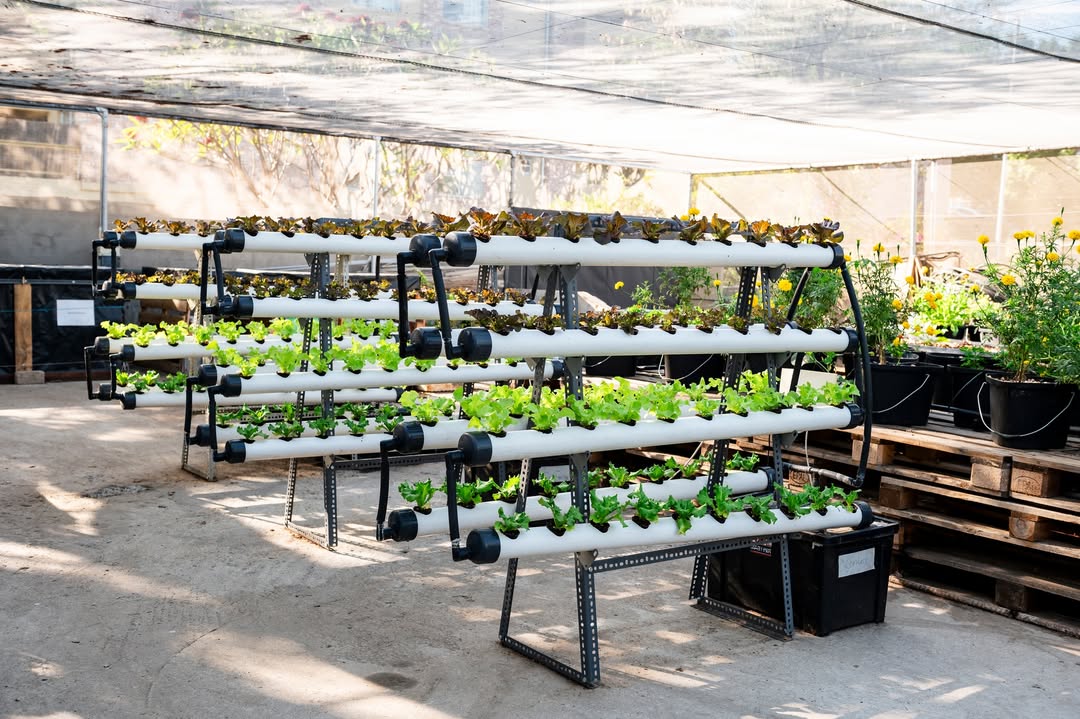 For growers who sell what they grow