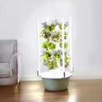 Hydroponic tower with grow lights growing herbs indoors