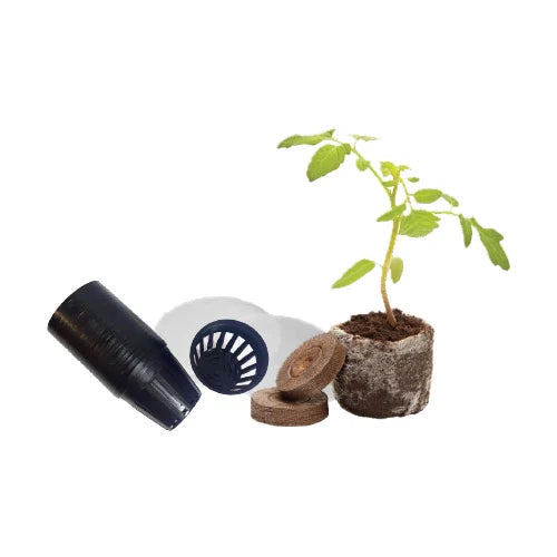 Marley Hydroponic Starter Kit: A Perfect Solution for Hydroponics Enthusiasts