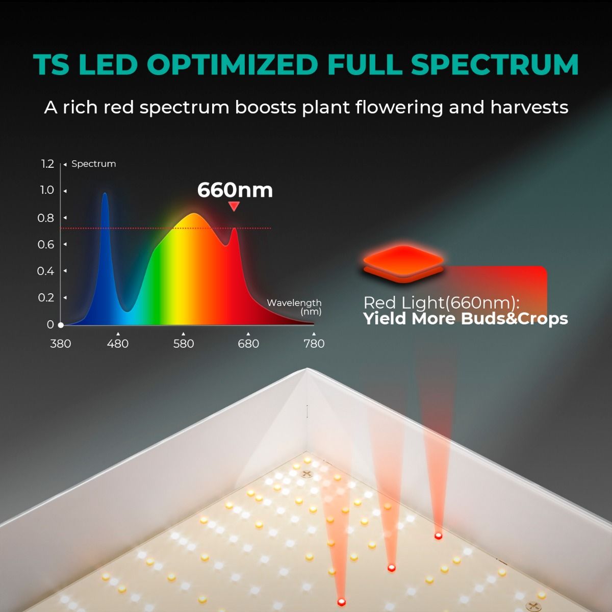 Mars Hydro TS 1000 Full Spectrum Dimmable 150W LED Grow Light 70cm*70cm