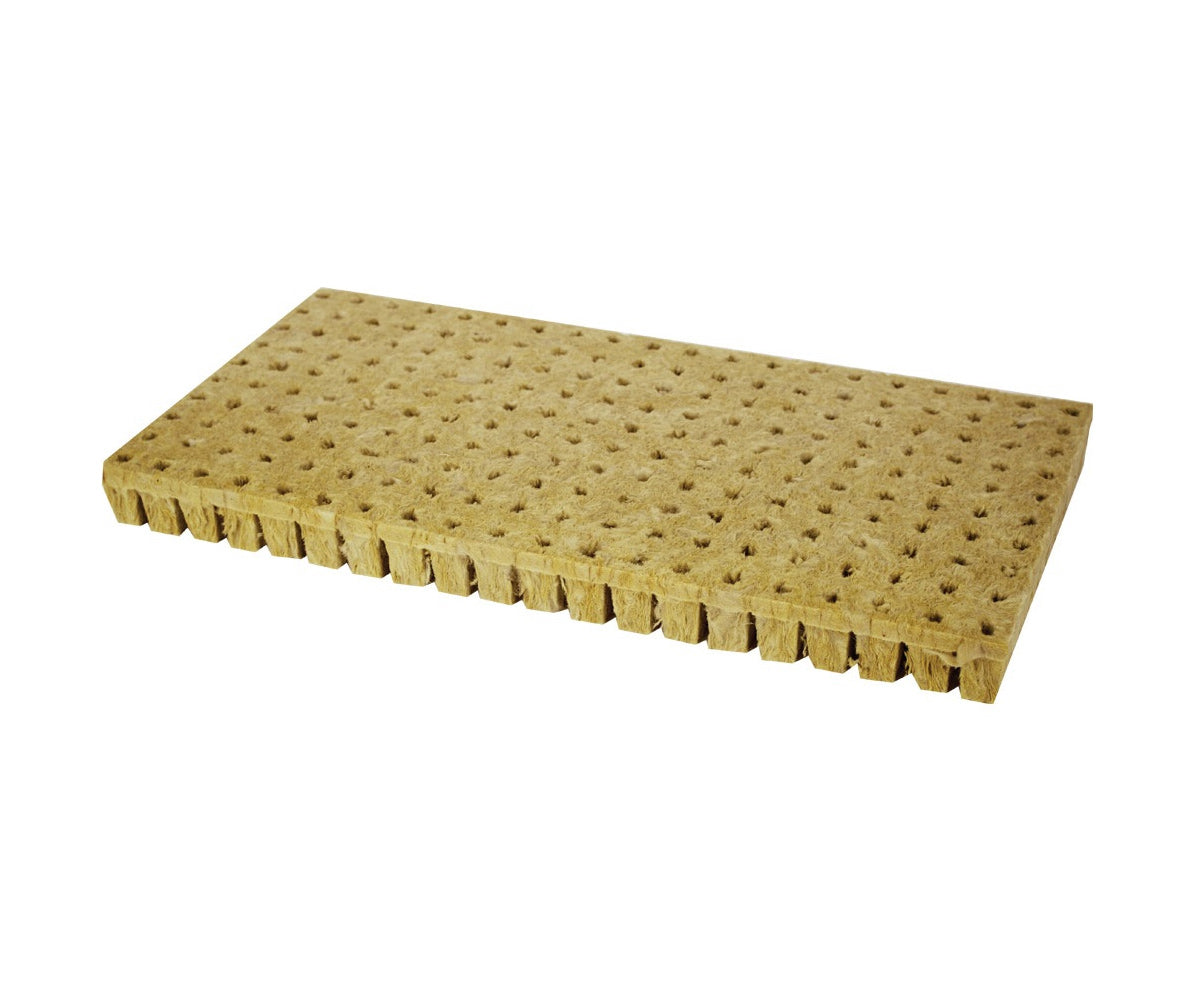 Grodan AO24/40 – 24mm Rockwool Propagation Plugs