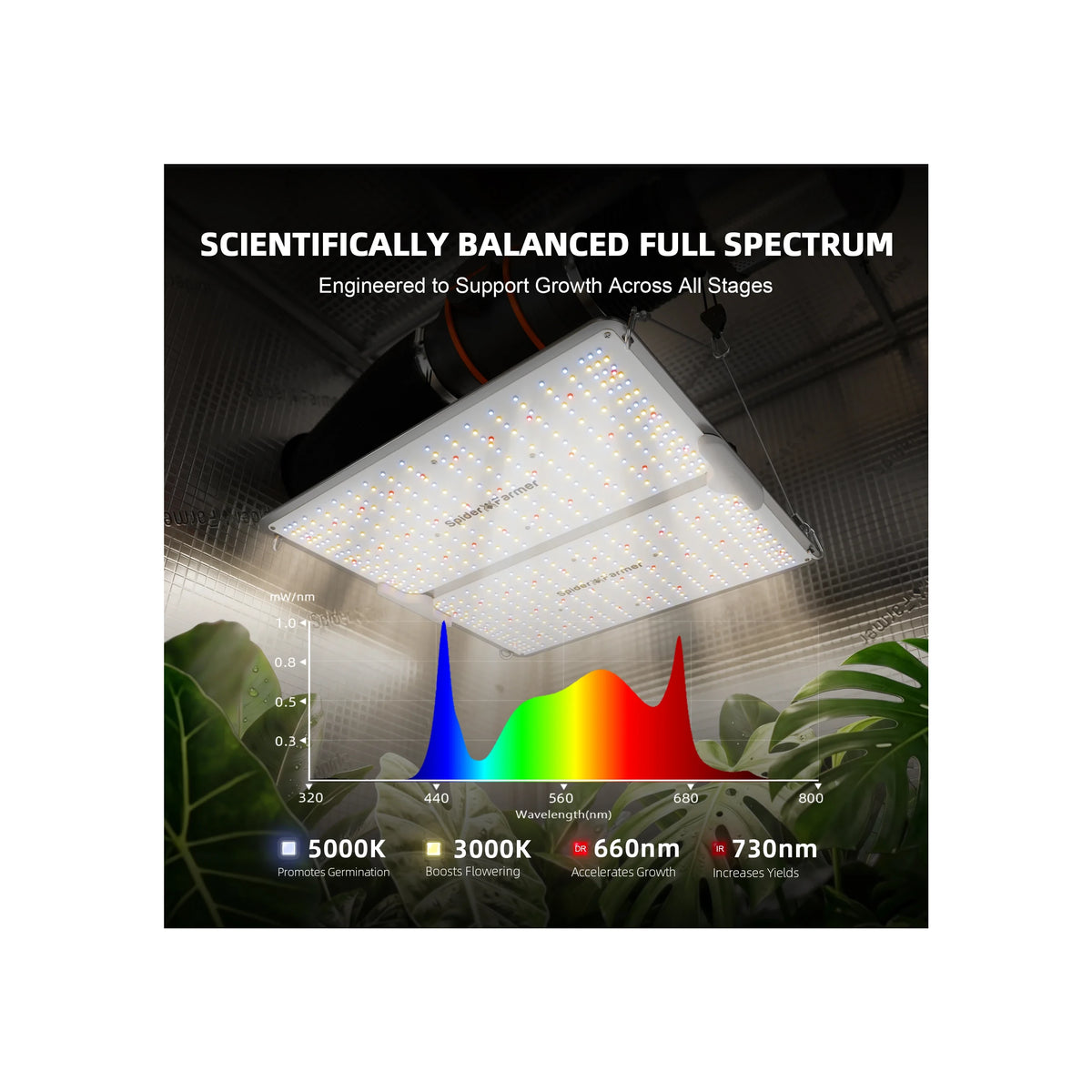 Spider Farmer SF2000 Pro full spectrum chart