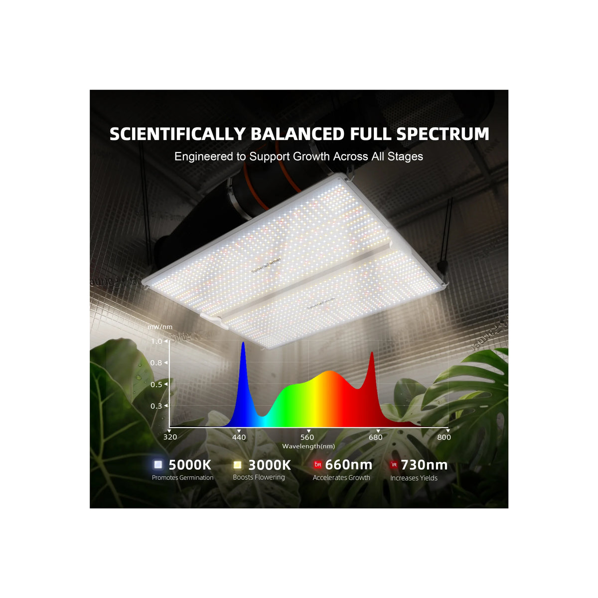 Spider Farmer SF4000 full spectrum chart