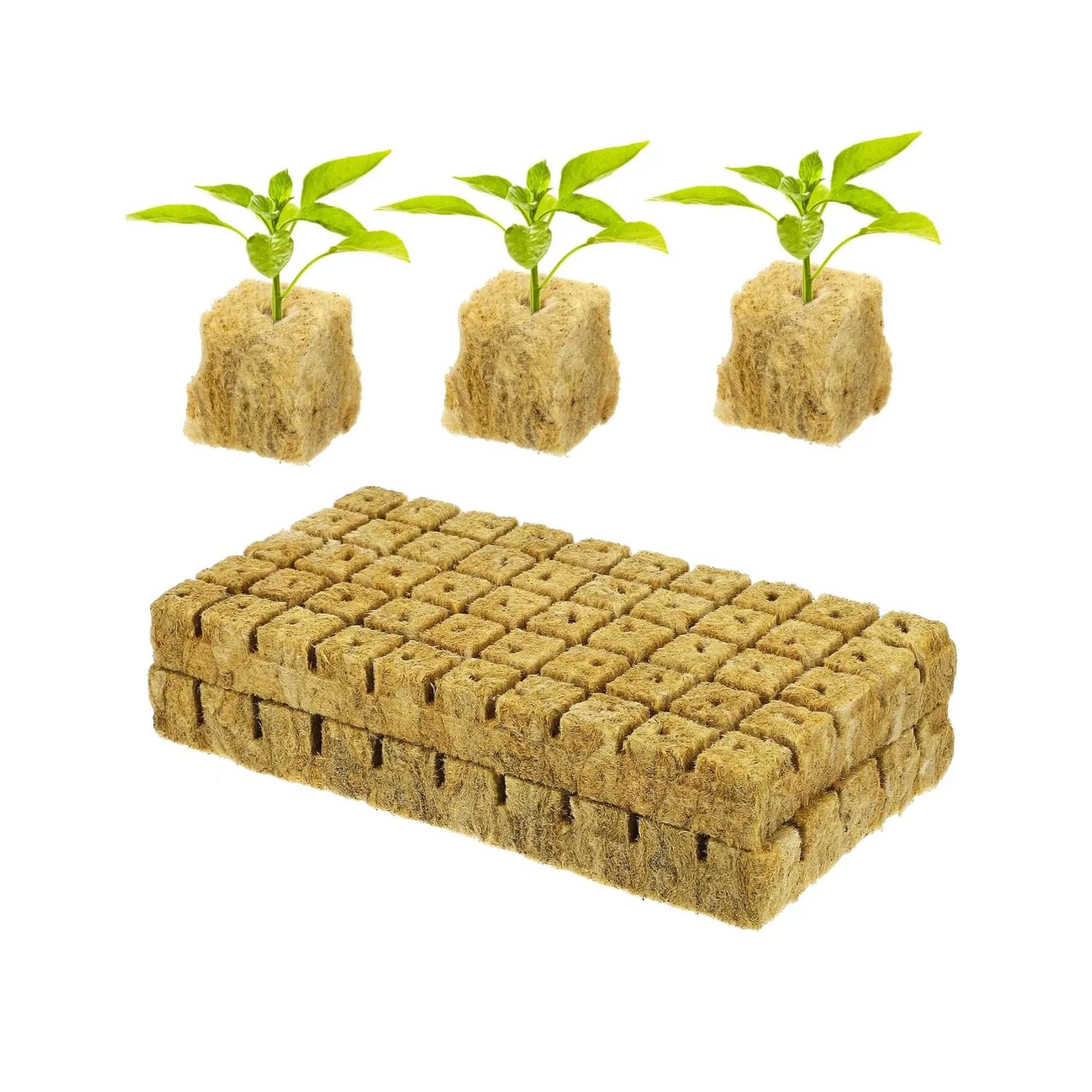Rockwool Grow Cubes (Starter Plugs) – 2 Sheets of 100 Plugs